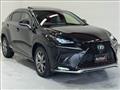 2019 Lexus NX