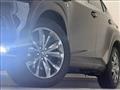 2019 Lexus NX