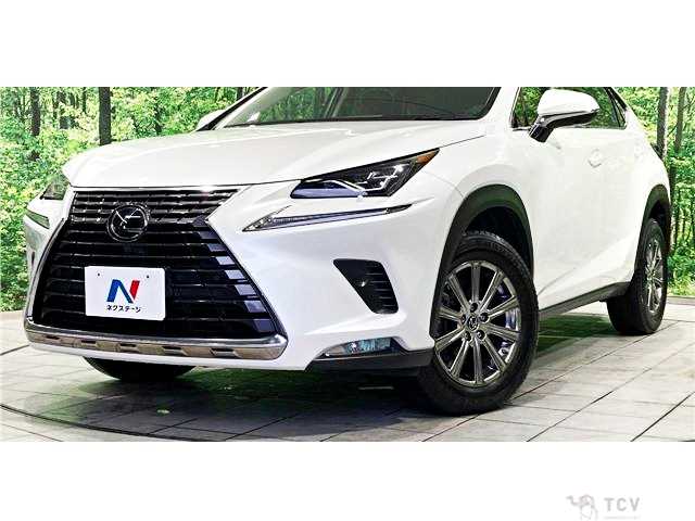2019 Lexus NX
