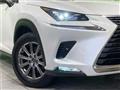 2019 Lexus NX