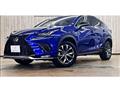 2019 Lexus NX