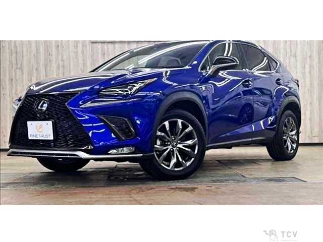 2019 Lexus NX