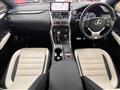 2019 Lexus NX