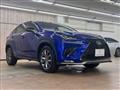 2019 Lexus NX
