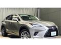 2019 Lexus NX