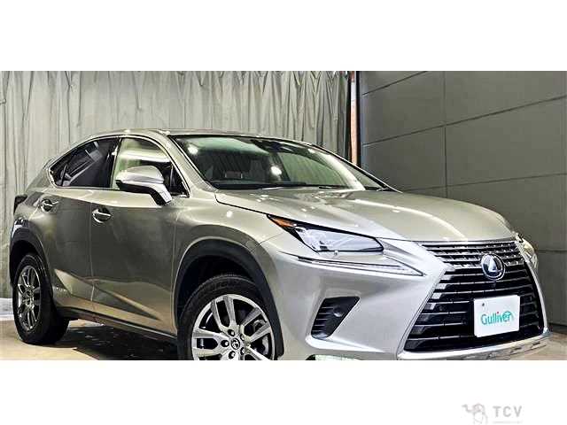2019 Lexus NX