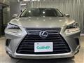 2019 Lexus NX