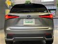 2019 Lexus NX