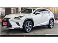 2019 Lexus NX