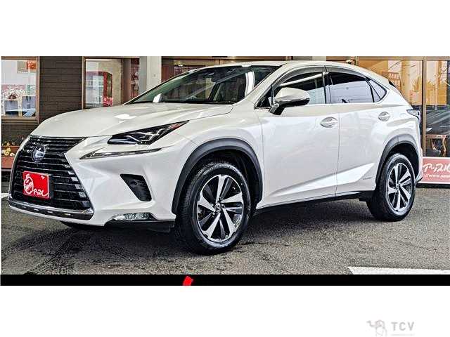 2019 Lexus NX