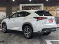 2019 Lexus NX