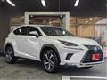 2019 Lexus NX