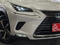2019 Lexus NX