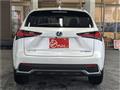 2019 Lexus NX
