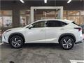2019 Lexus NX