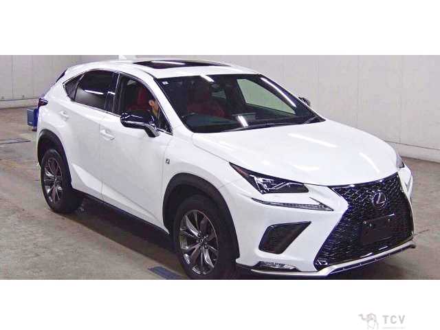 2019 Lexus NX