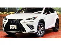 2019 Lexus NX