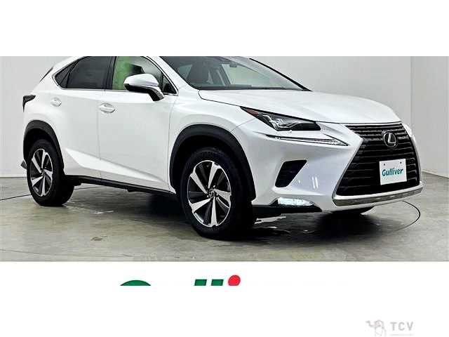 2019 Lexus NX