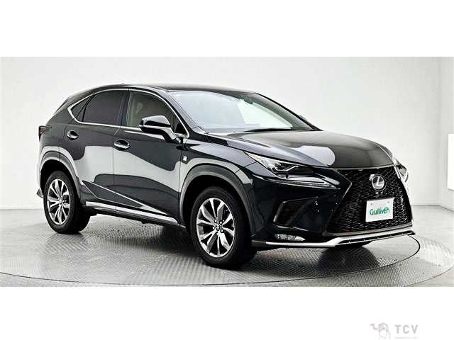 2019 Lexus NX