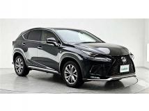 2019 Lexus NX