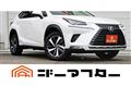 2019 Lexus NX