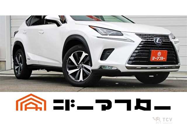 2019 Lexus NX