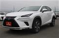 2019 Lexus NX