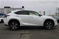 2019 Lexus NX