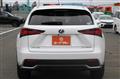 2019 Lexus NX