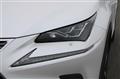 2019 Lexus NX