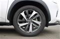 2019 Lexus NX