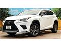 2019 Lexus NX