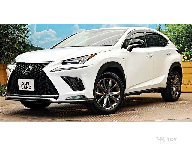 2019 Lexus NX
