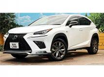 2019 Lexus NX