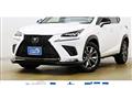 2019 Lexus NX