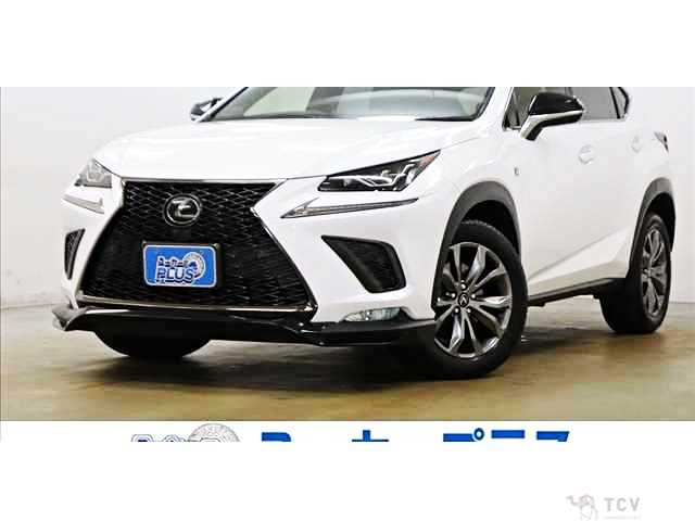 2019 Lexus NX