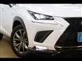 2019 Lexus NX