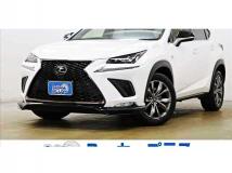 2019 Lexus NX
