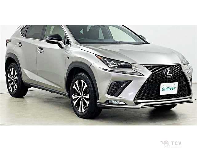 2019 Lexus NX