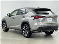 2019 Lexus NX