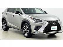 2019 Lexus NX