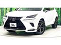 2019 Lexus NX