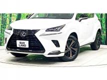 2019 Lexus NX