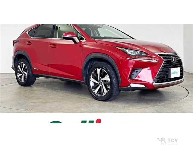 2019 Lexus NX