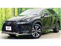 2019 Lexus NX