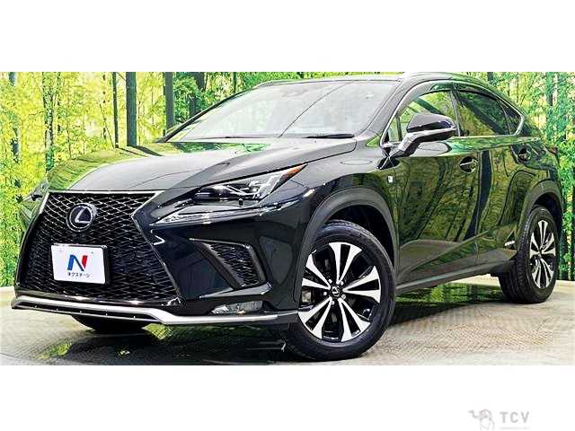 2019 Lexus NX