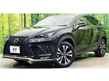 2019 Lexus NX