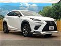 2019 Lexus NX