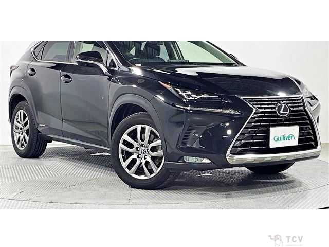 2019 Lexus NX