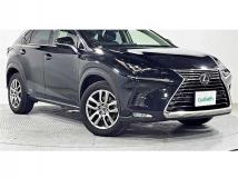 2019 Lexus NX